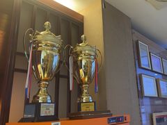 -天猫养车贴膜轻改·蓝电(优匹康桥东路店)