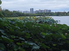 -成都南湖公园