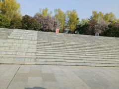 -汤锅大王(新平曹苏黄牛汤锅有限公司)