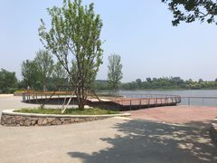 -东郊湿地公园