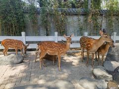 -北京野生动物园