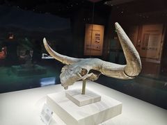 -宁夏博物馆