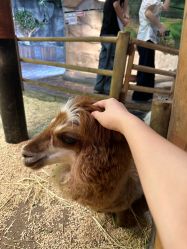 -Zoolung Zoolung动物主题公园(海信广场店)