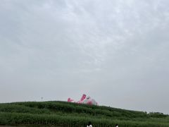 -阳澄湖半岛旅游度假区