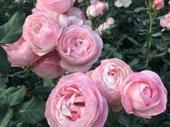 -人民公园(罗湖区)