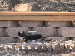 -北京西山国家森林公园