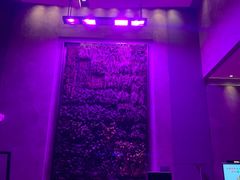 -重庆解放碑威斯汀酒店