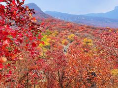 -周口店坡峰岭风景区