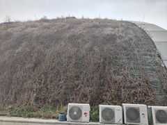 -上海长江河口科技馆