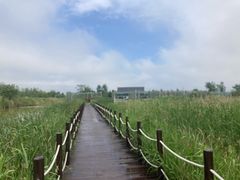 -盐城丹顶鹤湿地生态旅游区