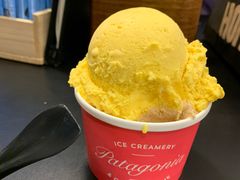 冰淇淋-Patagonia Chocolates(皇后镇店)