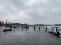 -桐乡凤凰湖