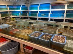 水产区-同君福大酒楼(紫新路店)