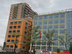 -麗枫酒店(深圳坪山高铁站龙东地铁站店)