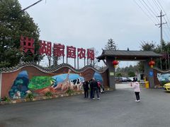 -洪湖家庭农场·团建·露营·会议