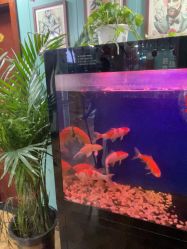 -尚逸男士理发馆·专注男发