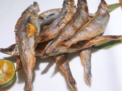 烤多春鱼-青叶日式料理(飘亮阳光广场店)
