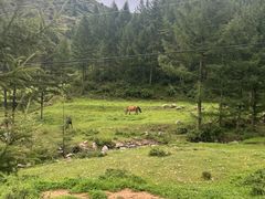 -苏木山森林公园