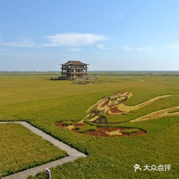 可惜今年赏期已过 明年一定要早去 中坞公园看点