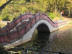-深圳龙潭公园