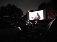 -枫花园汽车电影院(朝阳公园店)