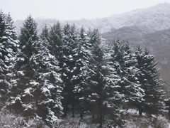 -太子岭滑雪场