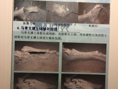 -洛阳周王城天子驾六博物馆