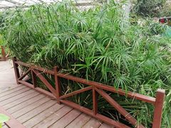 -晶宝温泉农庄