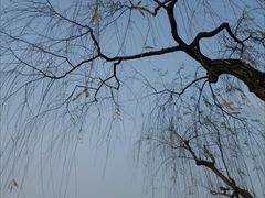 -浙江西子宾馆·瑶园咖啡厅