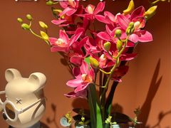 -霖公馆SPA·足道(普善路店)