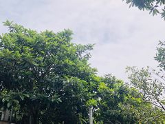 -雨花胜境