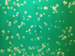 -福州罗源湾海洋世界旅游区