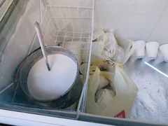 -洪馨椰子