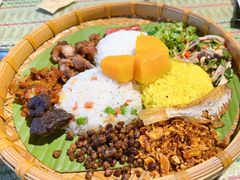 梦幻手抓饭-梦幻德宏