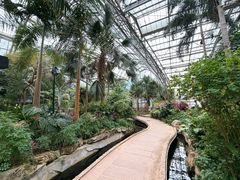 -南山植物园