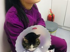 -达爱动物医院·犬猫分区·CT·复杂眼科(远洋山水分院)