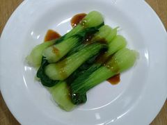 -天鹅到家·保姆月嫂育儿嫂(朝阳店)