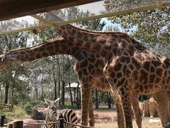 -大连森林动物园