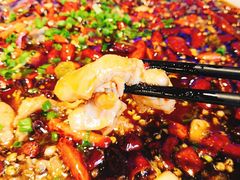 -新概念来凤鱼(璧山店)