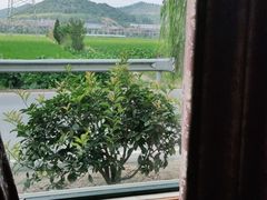 -李东农庄(中南百草园地标店)