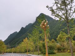 -娄山关景区