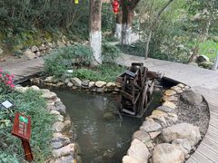 -天目湖山水园