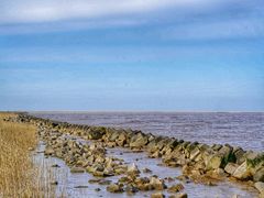 -南汇嘴观海公园