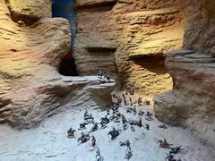 -巴音郭楞蒙古自治州博物馆