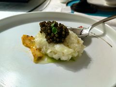 鱼子酱鸡淖-松云泽