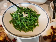 佛手瓜-滇铺子·云南特色菜·鲜花野菜季(东风东路c86店)