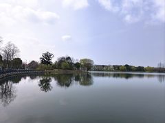 -上海长兴岛郊野公园
