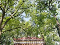 -南岳衡山风景名胜区