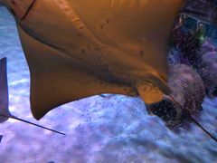 -沈阳海洋探索中心