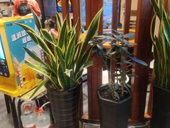 -灶座小锅烀饼·铁锅炖(道里店)